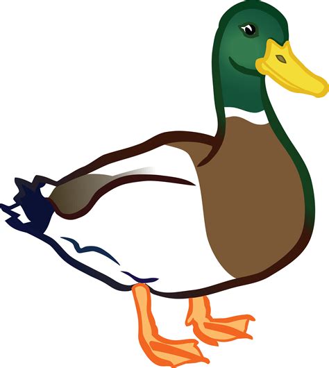 duck images clipart|duck clip art transparent background.